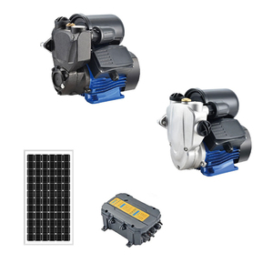 Pompe solaire horizontale intelligente DC personnalisée 600W à grand débit pour l'irrigation des cultures agricoles - Product Image 5