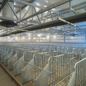 Servicios de Diseño de Granjas Porcinas para Todo el Ciclo de Vida, desde la Selección del Sitio hasta el Tratamiento de Estiércol, 20 Años de Experiencia en la Industria - Product Image 4