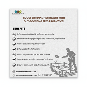 Alimento para Peces para el Mantenimiento de la Salud con Probióticos - Product Image 1