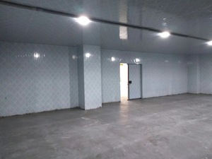 Cámara Frigorífica Aislada y Ligera para Almacenamiento de Lácteos, Cuartos Fríos Prefabricados, Walk-in Cooler - Product Image 5