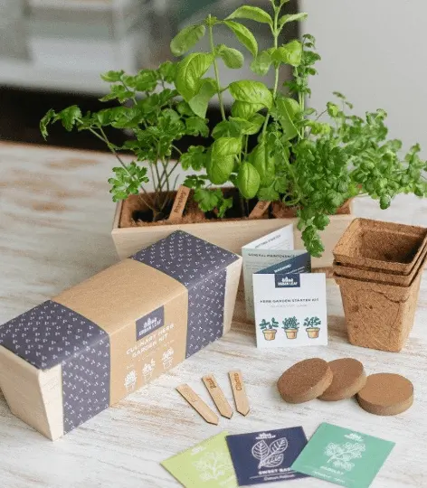 Commercio all'ingrosso di erbe Indoor Kit per coltivare piante verdi giardino giardino fai da te Kit regalo per il bambino
