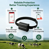 Dispositif de localisation précise du bétail Micodus MP30G sans abonnement, longue durée de vie de la batterie, traceur GPS 4G adapté au suivi du bétail
