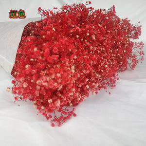 Otras Flores y Plantas Decorativas, Flores de Gypsophila <span class=keywords><strong>Preservadas</strong></span> Coloridas, 1 KG por Ramo - Product Image 6