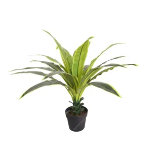 Plantas de oficina variedades de follaje Aglaonema en maceta artificial árbol perenne