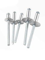 DIN personnalisé sans nickel grande bride plate tête ronde extrémité ouverte rivet pop rivet corps en acier mandrin rivets aveugles