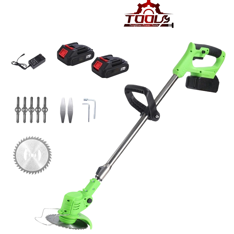Vert Deux batteries et un chargeur