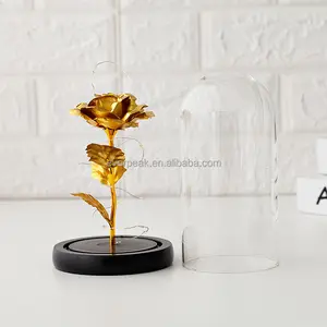 Factory Wholesale LED lights Gold Foil Rose in Glass Dome Preserved Roses with Glass Dome Galaxy Rose Glass Dome Christmas Gift