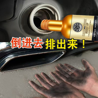 Additif Traitement Carburant Moteur Essence Nettoyant Système de Carburant Moteur pour Nettoyage Automobile