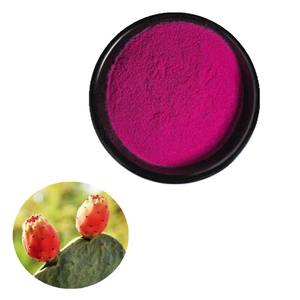 Poudre <span class=keywords><strong>de</strong></span> fruit <span class=keywords><strong>de</strong></span> <span class=keywords><strong>figue</strong></span> <span class=keywords><strong>de</strong></span> <span class=keywords><strong>Barbarie</strong></span> biologique en gros - Product Image 3