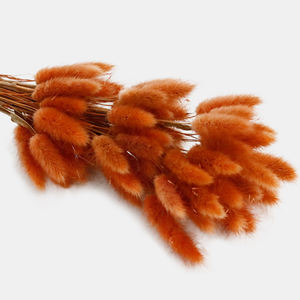 Vente en gros de fleurs artificielles en soie pour la décoration de bureau à domicile fleurs séchées <span class=keywords><strong>lagurus</strong></span> ovatus lapin préservé queues de lapin herbe - Product Image 2