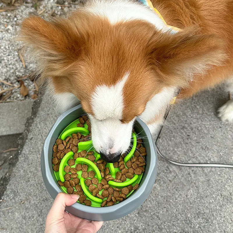 Cuenco de comida para mascotas de alimentación lenta para cachorros personalizado, cuenco de silicona para perros y gatos