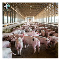 Bâtiment préfabriqué de ferme de hangar de porc de structure en acier