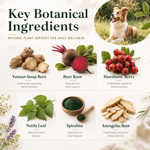 Suplemento Premium para la Salud Sanguínea de Perros con Vitamina B12 y Baya de Espino para la Vitalidad Diaria y Apoyo a la Circulación, Cuidado de Mascotas - Product Image 5
