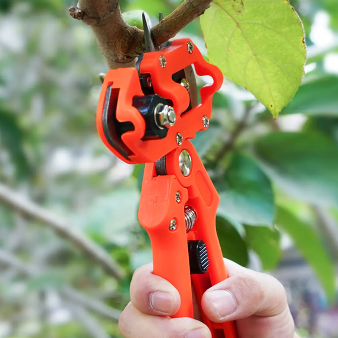 Industrial Grade Portable Garden Tool Set Foliage Trimming Different Blades Cutting Tool for Fruit Tree Grafting Made of Steel