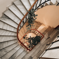 Escalier en bois courbé élégant de qualité supérieure Prima pour immeuble duplex haut de gamme