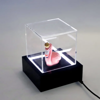 Boîte de présentation acrylique avec Led Boîte acrylique pour affichage de la figure Boîte de rangement acrylique avec lumière LED