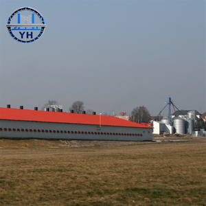 Bâtiment avicole préfabriqué à faible coût en structure acier pour poulets <span class=keywords><strong>de</strong></span> chair et poules pondeuses - Product Image 4