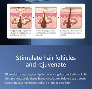 New Arrival Loss Salon 50x Jet New Oygen Detection Massager Scalp Hair Analysis Machine Portable Hair Follicle Detection - Product Image 3