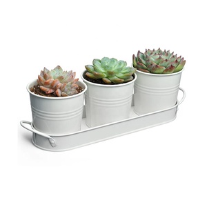 Decorazione funzionale fioriera per interni Kit di <span class=keywords><strong>piante</strong></span> in metallo vaso di fiori per bambini e fiori per casa Set di vasi per erbe - Product Image 1