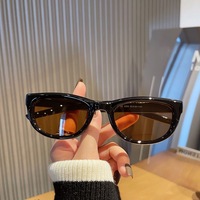 Lunettes de soleil oeil de chat de qualité ultra légères style Morandi Lunettes de soleil tendance papillon en plastique de luxe pour femmes personnalisées