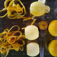 Industriële citrusvruchten schilmachine van roestvrij staal SUS304 voor sinaasappels, citroenen, passievruchten en appels.
