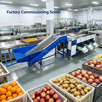 Automatische fruit sorteermachine met hefband, hoge nauwkeurigheid voor boerderijen en exportverpakkingsbedrijven