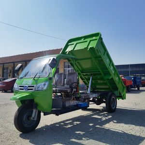 Tricycle électrique de cargaison avec la batterie au plomb puissante exempte d'entretien et deux sièges en cuir de luxe - Product Image 2