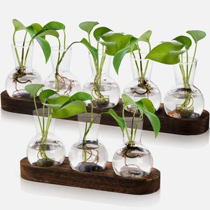 Glass Hydroponic <b>Vases</b> With Wooden Tray Round Shape Tabletop Decor For Plants - Product Image 1