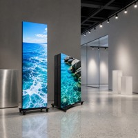 Schermo LED Pieghevole Vishow5.0 P1.25 per Interni, Display Pubblicitario HD 640x1920, Luminosità 500cd, Garanzia di 2 Anni, Basato su Cloud