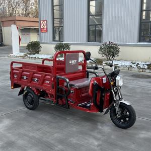 Nouvelle moto électrique à trois roues, haute puissance, personnalisable, pour la logistique, la distribution et le transport de marchandises. - Product Image 6