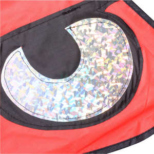 Prix d'usine Cerfs-volants répulsifs d'<span class=keywords><strong>oiseaux</strong></span>, cerfs-volants faucon et aigle avec mât de drapeau, jouet en tissu, vente en gros, fabricant de cerfs-volants <span class=keywords><strong>anti</strong></span>-<span class=keywords><strong>oiseaux</strong></span> - Product Image 4