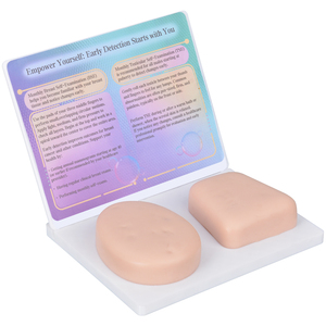 Simulador <span class=keywords><strong>de</strong></span> Autoexamen <span class=keywords><strong>de</strong></span> Senos <span class=keywords><strong>y</strong></span> Testículos con Material <span class=keywords><strong>de</strong></span> Silicona - Product Image 3