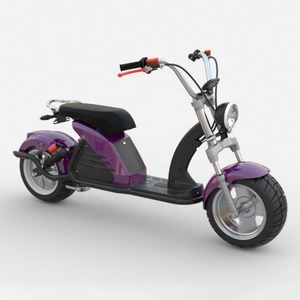 Moto électrique à roues en aluminium très vendue en France avec certificat EEC/COC, scooter électrique Citycoco avec pneus larges de 12 pouces - Product Image 2