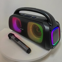 Tersedia DR-501 Penjualan Langsung Pabrik Versi Lintas Negara Portabel untuk Speaker Plastik 5.0 40W untuk Pesta KTV Sound