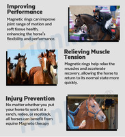 Appareil de thérapie PEMF pour chevaux pour améliorer la vitalité, augmenter la flexibilité et la mobilité des articulations et calmer l'humeur
