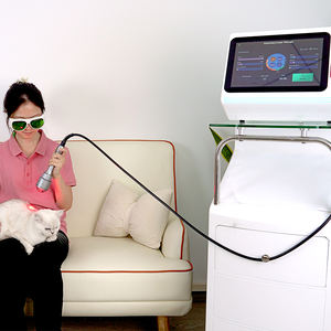 Système de thérapie Laser de classe 4 de laser de thérapie à usage vétérinaire pour cheval 810nm 980nm 1064nm Machine de thérapie Laser haute puissance - Product Image 4