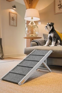 JUNJI moderna in legno Pet rampa per i signori e labrador mobili in stile Board con modello elegante - Product Image 6