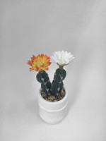 Mini Cactus Artificiel Réaliste en Pot Blanc pour la Décoration Intérieure de la Maison, du Bureau ou de la Table