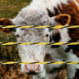 Fil électrique pour clôture temporaire, résistant à la <span class=keywords><strong>rouille</strong></span> et aux UV, facile à utiliser, économique et efficace, pour le bétail - Product Image 1