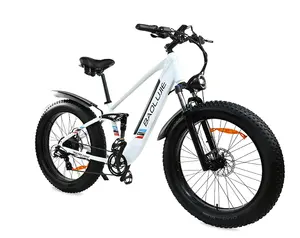 BLJ 성인 전기 자전거 500w 48V 12AH 알루미늄 합금 SHIMANO 쌀 26*4 인치 팻 타이어 Ebike