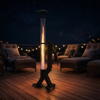 Chauffage de terrasse à granulés essentiel pour le camping en plein air, poêle vertical à granulés de bois avec flamme visible