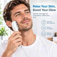 Masseur facial Gua Sha à micro-courant ABS portable avec vibration galvanique, rechargeable par USB, soulage la fatigue oculaire et lift le visage