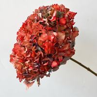 Groothandel Ins Populaire Geconserveerde Grote Blad Hortensia Bloemen Gedroogde Hortensia Voor Bruiloft Decoratie Hortensia Bloemen