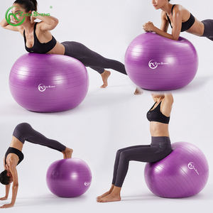 Balón de Yoga Suizo Zhensheng, Resistente, Ecológico, Antiexplosión, para Ejercicios de Estabilidad y Fitness - Product Image 1