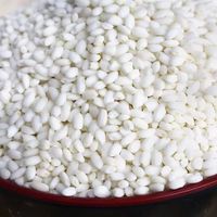 Wholesale Pearl Sticky Rice High Quality Chinese Nutorious Sticky Rice for Export