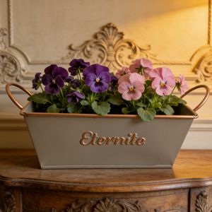 Wholesale Low-Priced French Retro Style Wrought Iron Square Flower Pots Succulent <strong>Planters</strong> for Gardens Courtyards Villas - Product Image 2