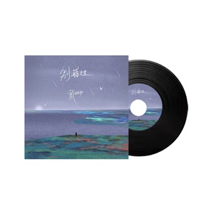 Sản Phẩm Khuyến Mãi Tùy Chỉnh 3 Inch Cho Hàng Thủ Công Trong Áo Khoác Ép LP Vinyl Màu Đen - Product Image 1