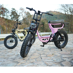 <span class=keywords><strong>Bicicleta</strong></span> Eléctrica de Suspensión Completa, Neumáticos Gruesos de 20 Pulgadas, Suspensión Ajustable, <span class=keywords><strong>Bicicleta</strong></span> Eléctrica de Montaña, <span class=keywords><strong>Bicicleta</strong></span> Eléctrica Híbrida Bafang - Product Image 5