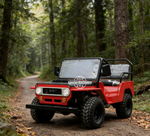 Vente directe d'usine - Jeep Willys classique de tourisme - Deux places - Essence/GPL - 150-250 CV - Batterie au plomb-acide - Transmission automatique - CE - Product Image 4