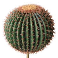 Cactus artificiel réaliste et souple de 50 cm, boule de cactus verte avec piquet en bois pour la décoration de Noël/Nouvel An, maison et jardin